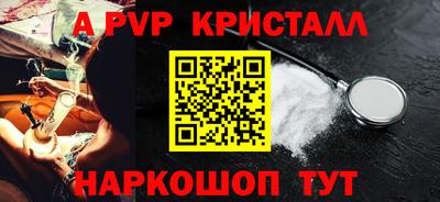 эйфоретик Кингисепп