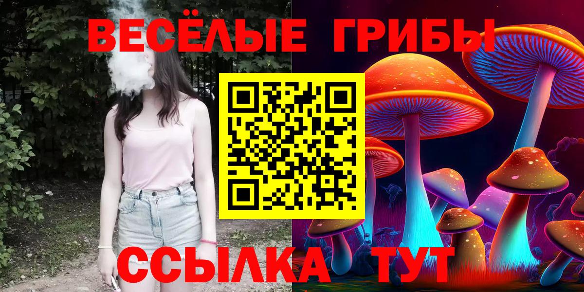 Галлюциногенные грибы мицелий Краснодар